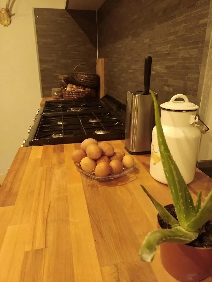 Le Bonheur En Bretagne Hotel Rouillac  Guest house
